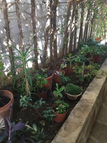 Casa independiente en Urbanización La Vallesa, 20