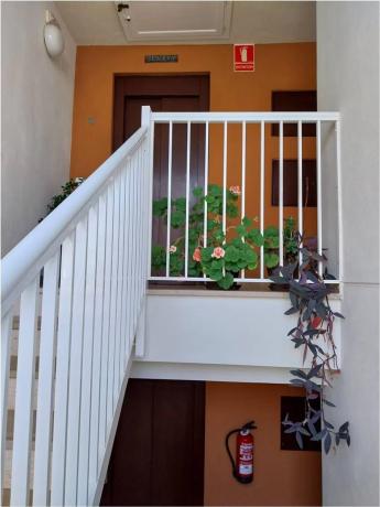 Piso en CL Mar Jonica