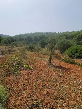 Casa independiente en camino de Bèrnia, 21