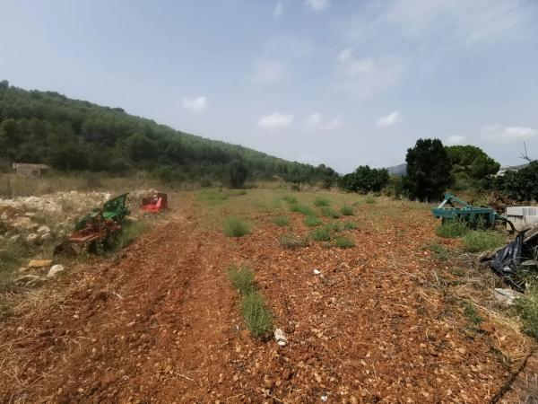 Casa independiente en camino de Bèrnia, 21