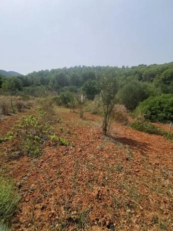 Casa independiente en camino de Bèrnia, 21