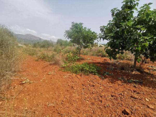 Casa independiente en camino de Bèrnia, 21