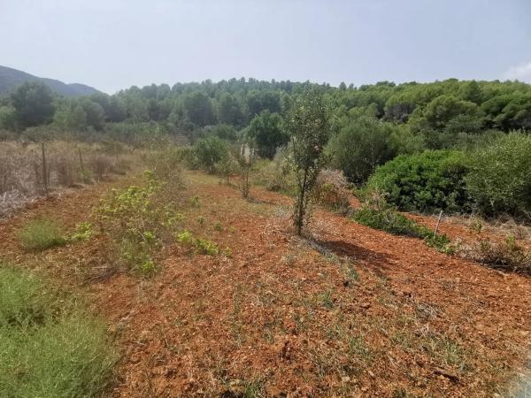 Casa independiente en camino de Bèrnia, 21