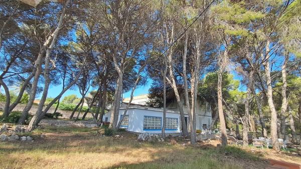 Casa independiente en calle de la Flor de la Neu, 18