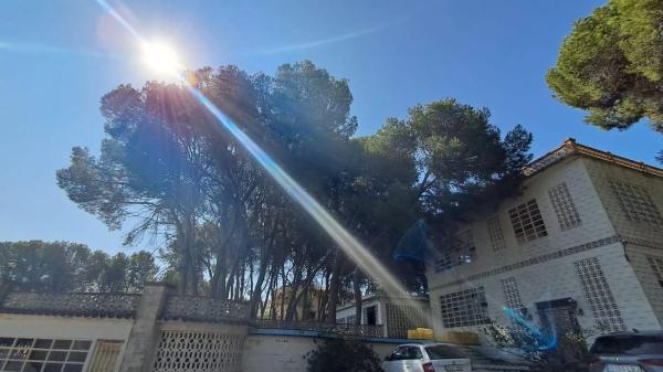 Casa independiente en calle de la Flor de la Neu, 18