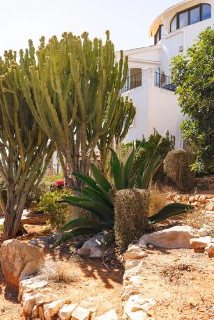 Chalet adosado en calle Mieres, 23