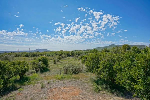 Chalet en Montgó - Ermita