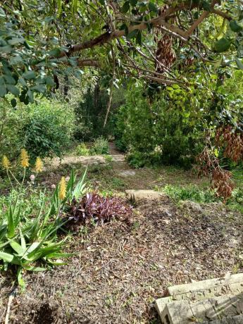 Casa independiente en calle Tosalet, 2