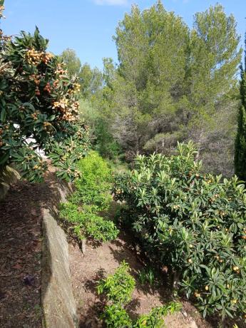 Casa independiente en calle Tosalet, 2