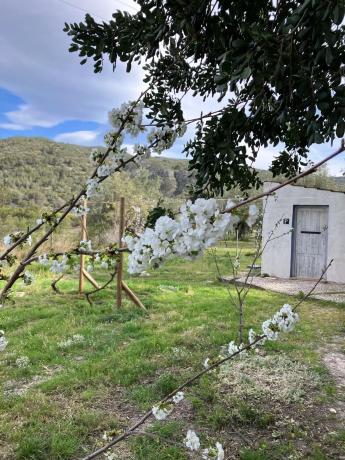 Casa independiente en calle Trinquet, 54