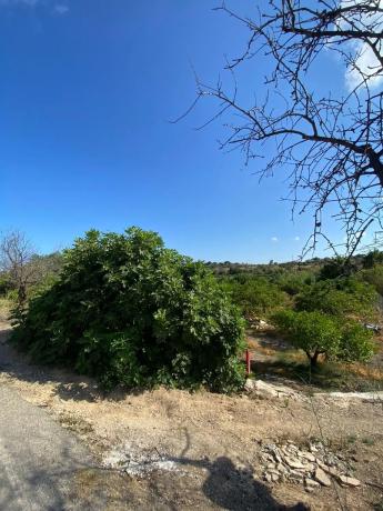 Casa rural en Partida Barranquet