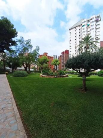 Estudio en avenida de Montecarlo