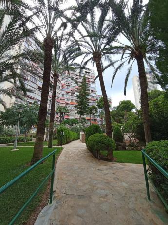 Estudio en avenida de Montecarlo, 22