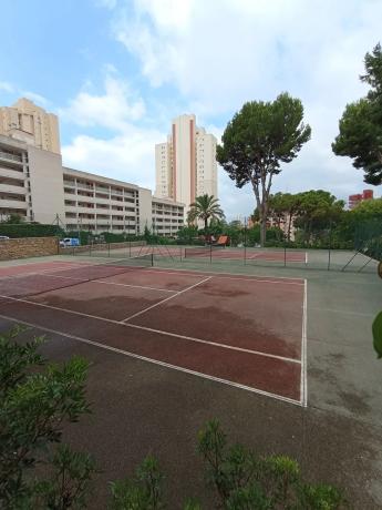 Estudio en avenida de Montecarlo, 22