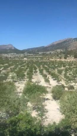 Finca rústica en Pd Foya El Corral, 1