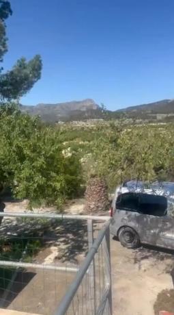 Finca rústica en Pd Foya El Corral, 1