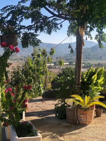 Finca rústica en Partida Rincon, 15 b