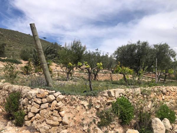 Finca rústica en Partida Rincon, 15 b