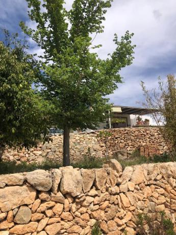 Finca rústica en Partida Rincon, 15 b