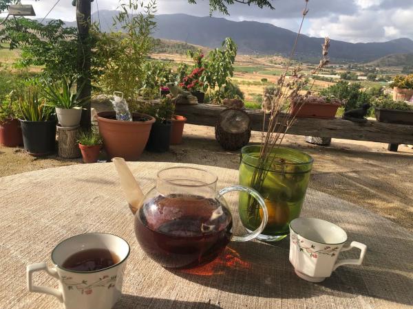 Finca rústica en Partida Rincon, 15 b