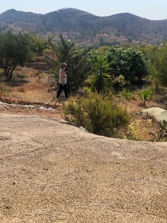 Finca rústica en Partida Rincon, 15 b