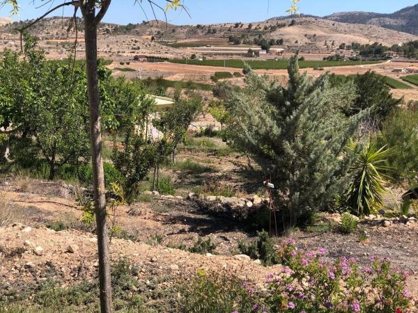 Finca rústica en Partida Rincon, 15 b