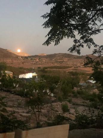 Finca rústica en Partida Rincon, 15 b