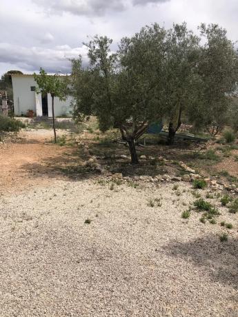 Finca rústica en Partida Rincon, 15 b