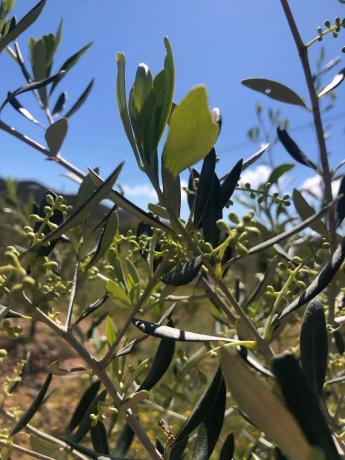 Finca rústica en Partida Rincon, 15 b