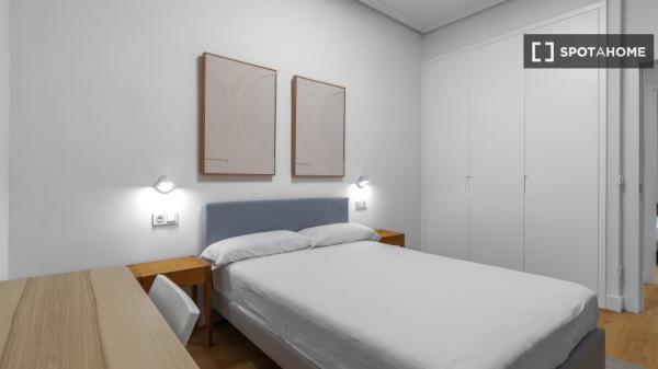 Chambre dans un appartement partagé à Donostia