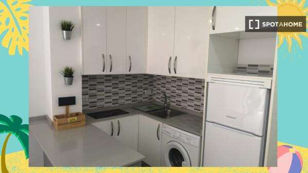 Estudio en alquiler en Santa Catalina-Canteras