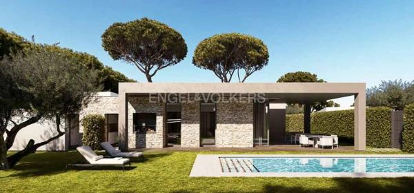 Avenida de las Acacias