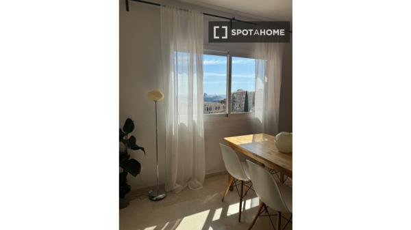 Room in a shared 3-bedroom flat for rent in El Terreno