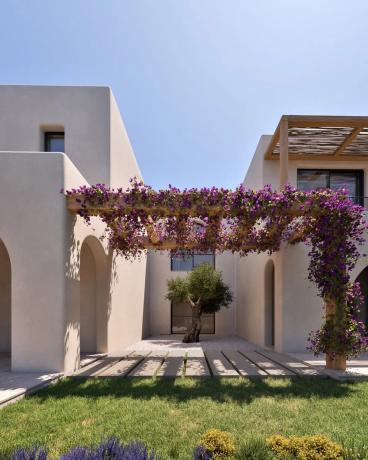 The White Collection