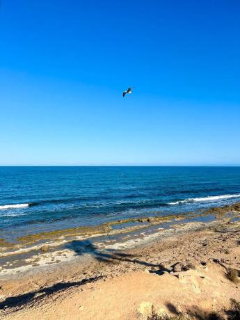 Villa en zona alta Alaró