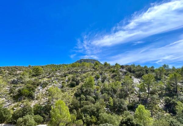 Villa en zona alta Alaró