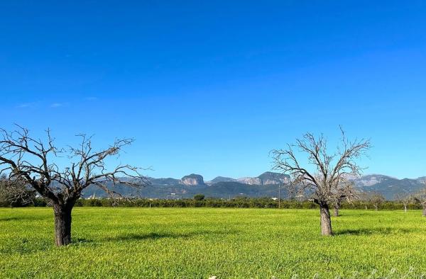 Villa en zona alta Alaró