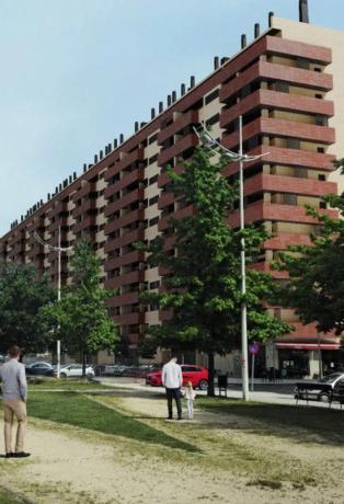 El Mirador de la Rosaleda