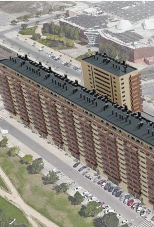 El Mirador de la Rosaleda