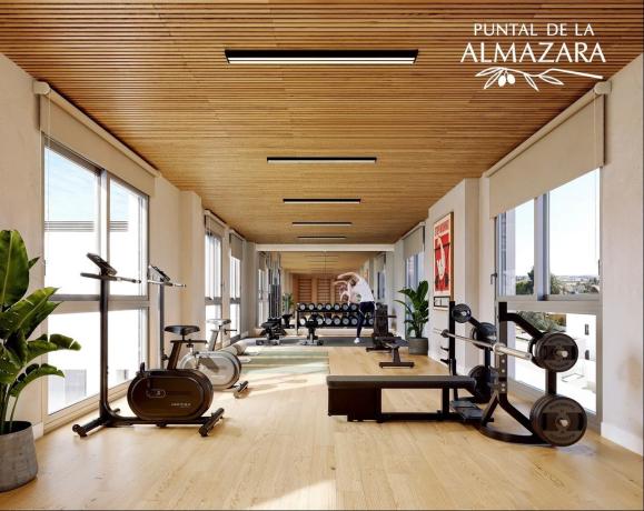 Puntal de la Almazara