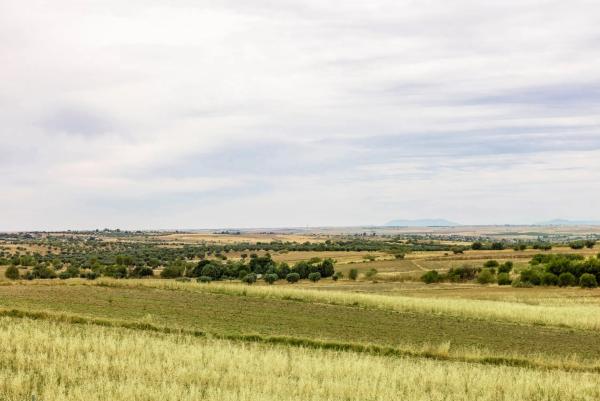 El Mirador del Viso de San Juan