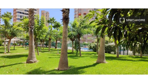 Apartamento de 2 dormitorios en alquiler en Benidorm