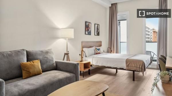 Estudio completo en Madrid