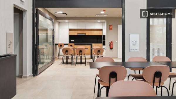 Estudio completo en Madrid