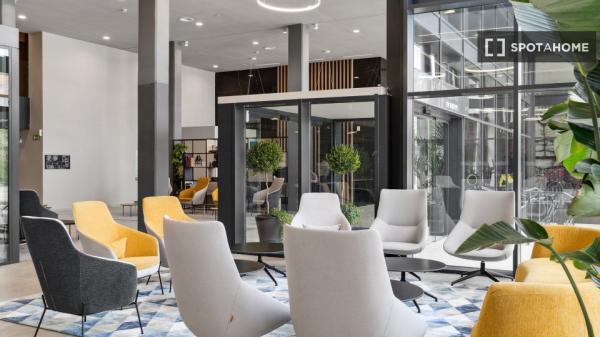 Estudio completo en Madrid