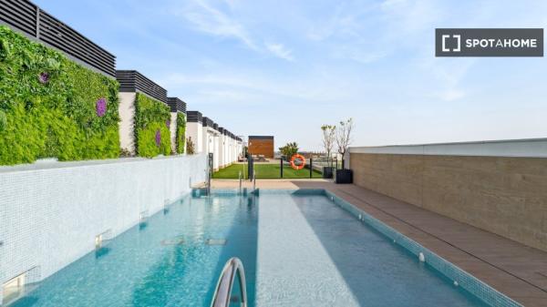 Estudio completo en Madrid