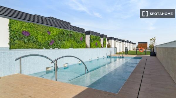 Estudio completo en Madrid