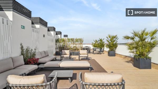 Estudio completo en Madrid