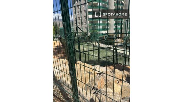 Room in shared apartment in Comunidad Valenciana