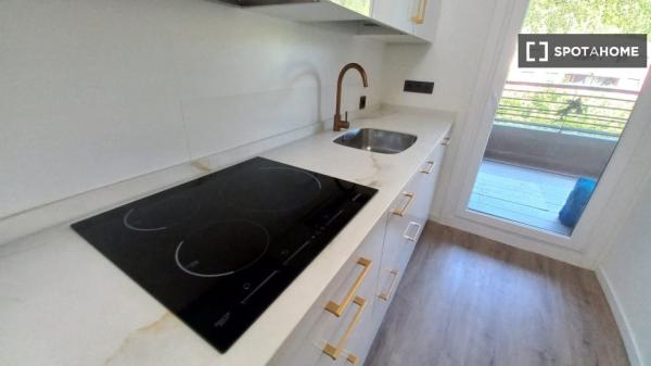 Piso de 2 habitaciones en alquiler en Zestoa